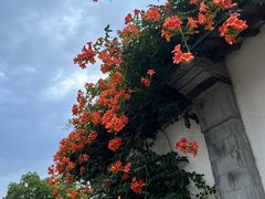 -青果巷历史文化街区