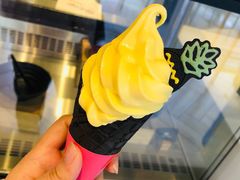 -麦当劳(塔园路店)