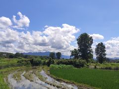 -黟县屏山村