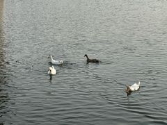 -西安汉城湖景区