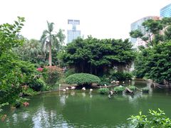 -九龙公园