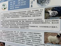 -青藏高原野生动物园
