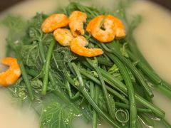 金勾龙须菜-海味观(老西门店)