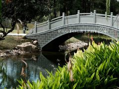 -四海公园(南山区)