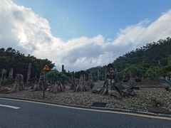 -深圳仙湖植物园