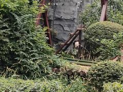 -五龙山野生动物王国