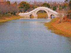 -上海海湾国家森林公园