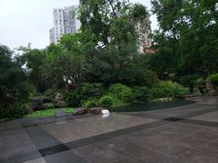 -晓港公园