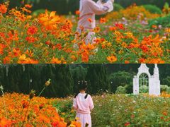 -南沙蒲洲花园