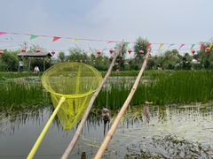 -同銮特种养殖场·龙虾垂钓