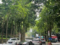 -梧桐山风景名胜区