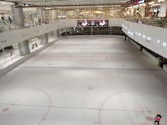 -TheRink大零溜冰场(IFS国金中心店)