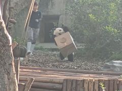 -济南野生动物世界