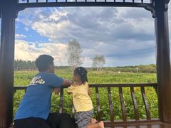 -塞罕坝国家级自然保护区