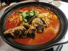 酸汤鱼-贵州大厦贵州厅(樱花园西街店)