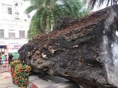 -海口骑楼小吃街