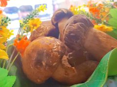 -菌彩云南野生菌火锅(呈贡七彩云南第壹城店)