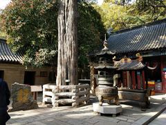 -青岛崂山太清宫
