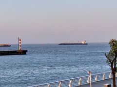 -南汇嘴观海公园