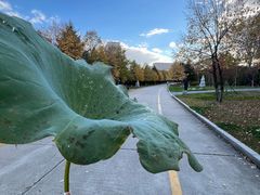 -长春世界雕塑园冰雪艺术天地