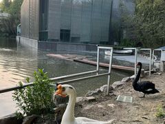 -春晖园度假酒店温泉