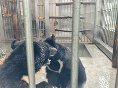-青岛动物园