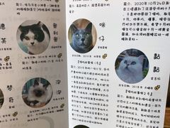 -喵屿·大理花园猫咖