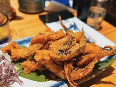 唐扬鱿鱼须-家贺屋刺身寿司专门店