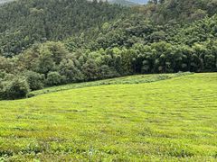-敬亭山风景名胜区