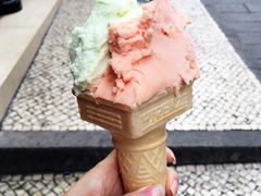 -柠檬车露(卖草地店)