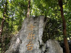 -音乐台