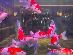 -御海8号温泉酒店