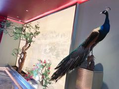 -俏江南天津时尚曲艺主题餐厅(马场道店)