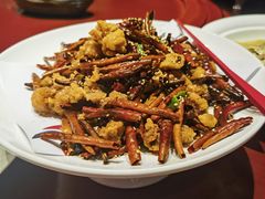 -金狮麟·新豫菜(金码大厦店)