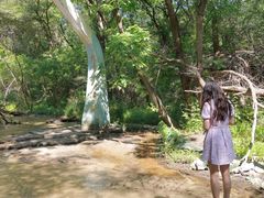 -大青沟风景区