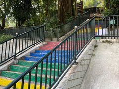 -深圳野生动物园