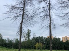 -仁华宠物医院(青羊店)