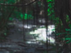 -燕晗山郊野公园