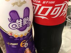-朱氏胖子烂火锅(洪崖洞店)