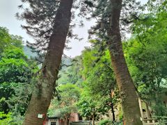 -飞霞风景名胜区