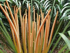 -华南国家植物园-售票处