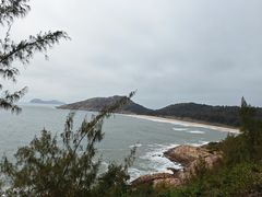 -广东惠东海龟国家级自然保护区