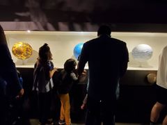 -墨尔本博物馆(Melbourne Museum)