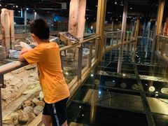 -元代水闸遗址博物馆