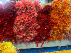 -昆明国际花卉拍卖交易中心