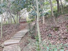 -上海佘山国家森林公园天马山园