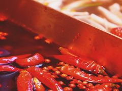 -九鼎轩脆毛肚火锅(三钢里店)
