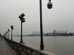 -more than meow吴止猫主题餐厅(承德 中船汇店)