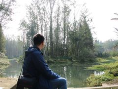 -桤木河湿地公园