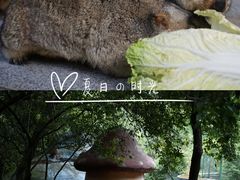 -昆明青龙峡风景区
